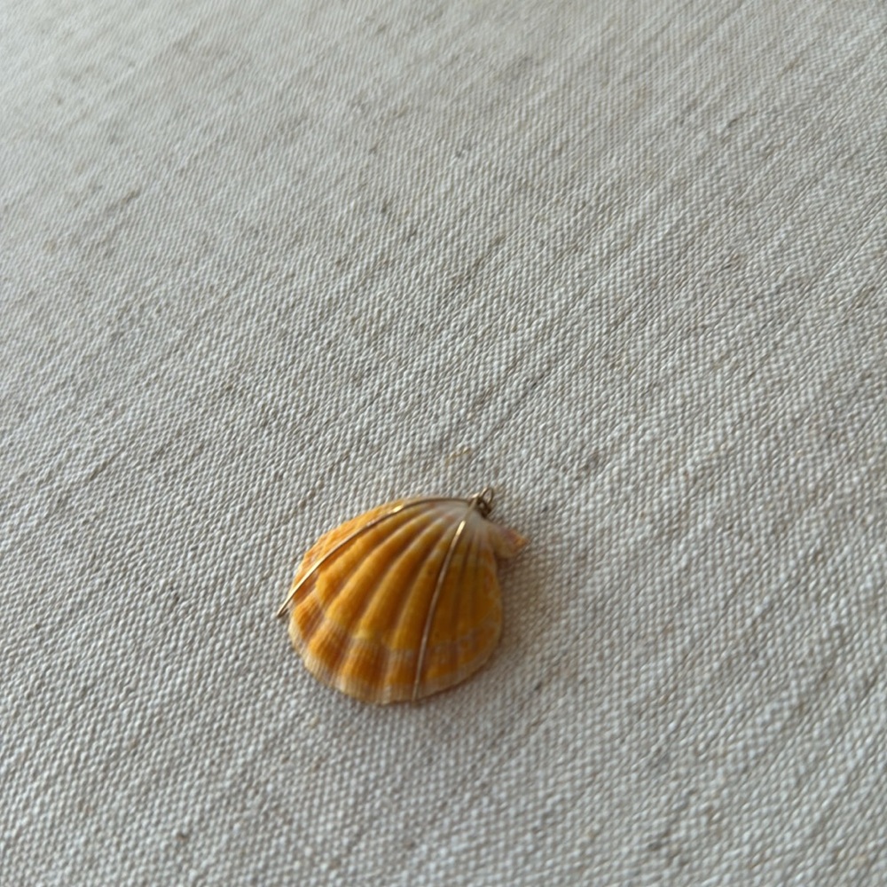 Sunrise sea shell - Picture 3 of 7
